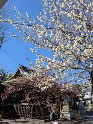 新宿下落合氷川神社(東京都)
