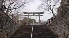 賀茂別雷神社の鳥居