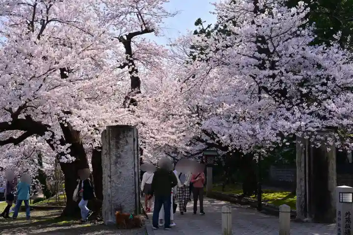 彌彦神社(新潟県)
