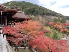 清水寺(京都府)