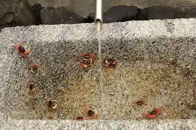 蟹満寺(京都府)