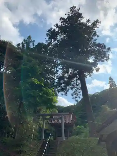 日枝神社の鳥居