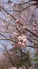 相馬神社(北海道)