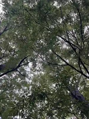 前川神社(埼玉県)
