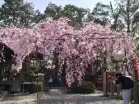 水火天満宮の{uncategorized: "未分類", other: "その他", undefined: "問題あり", building: "その他建物", grave: "お墓", sacred_gate: "鳥居", guardian: "狛犬", statue: "像", buddha: "仏像", history: "歴史", nature: "自然", garden: "庭園", animal: "動物", pagoda: "塔", temizu: "手水舎", mountain_gate: "山門・神門", sanctuary: "本殿・本堂", subordinate: "末社・摂社", art: "芸術", scenery: "景色", jizo: "地蔵", ema: "絵馬", goshuin: "御朱印", omikuji: "おみくじ", items: "授与品その他", amulet: "お守り", goshuincho: "御朱印帳", eats: "食事", festival: "お祭り", votive_dance: "神楽", shichigosan: "七五三参", wedding: "結婚式", experience: "体験その他", initially: "初詣", around: "周辺", anti_infection: "感染症対策"}