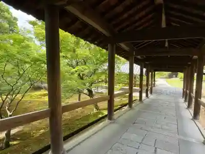 東福禅寺(東福寺)(京都府)