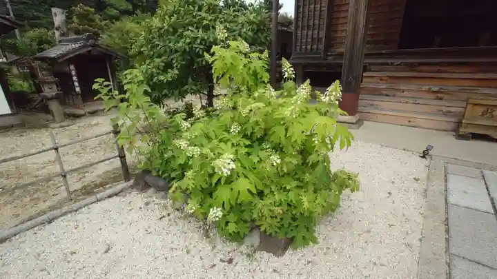 妙楽寺(愛知県)