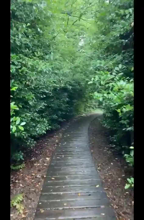 常陸国出雲大社(茨城県)