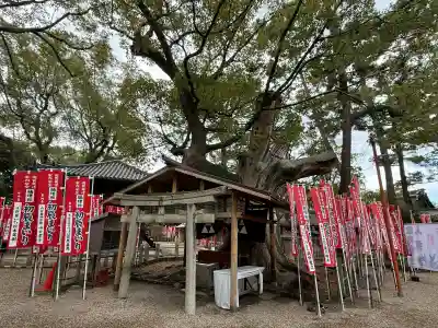 楠珺社(住吉大社末社)の{uncategorized: "未分類", other: "その他", undefined: "問題あり", building: "その他建物", grave: "お墓", sacred_gate: "鳥居", guardian: "狛犬", statue: "像", buddha: "仏像", history: "歴史", nature: "自然", garden: "庭園", animal: "動物", pagoda: "塔", temizu: "手水舎", mountain_gate: "山門・神門", sanctuary: "本殿・本堂", subordinate: "末社・摂社", art: "芸術", scenery: "景色", jizo: "地蔵", ema: "絵馬", goshuin: "御朱印", omikuji: "おみくじ", items: "授与品その他", amulet: "お守り", goshuincho: "御朱印帳", eats: "食事", festival: "お祭り", votive_dance: "神楽", shichigosan: "七五三参", wedding: "結婚式", experience: "体験その他", initially: "初詣", around: "周辺", anti_infection: "感染症対策"}