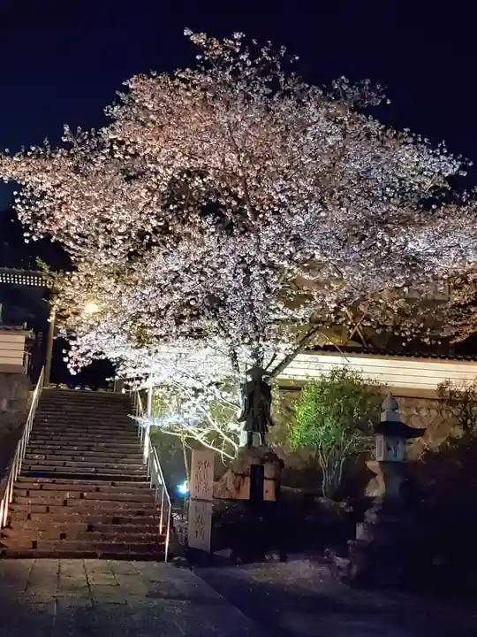 如宝寺(福島県)