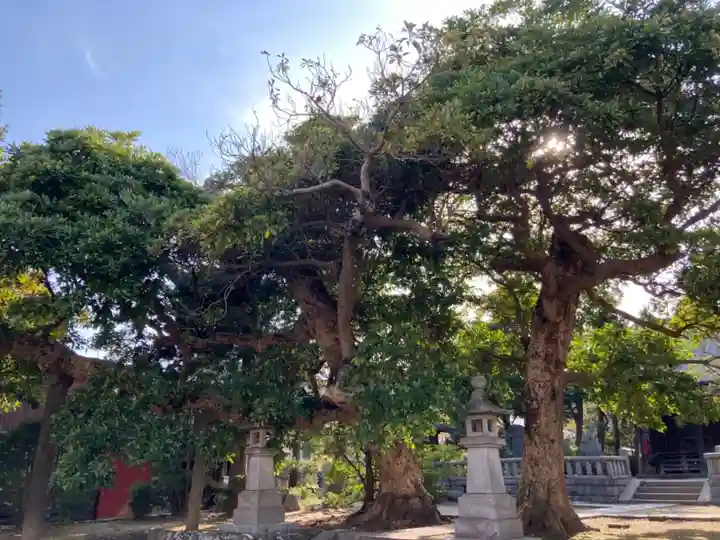 八坂大神の自然