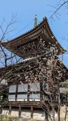 本法寺(京都府)