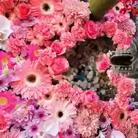 札幌諏訪神社の手水舎