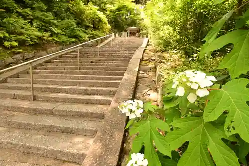 矢田寺(奈良県)