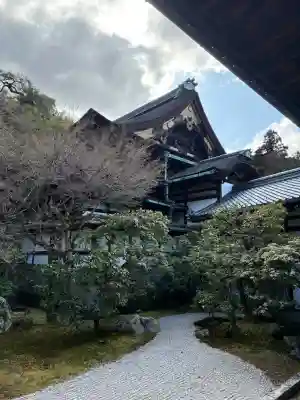 御寺 泉涌寺の{uncategorized: "未分類", other: "その他", undefined: "問題あり", building: "その他建物", grave: "お墓", sacred_gate: "鳥居", guardian: "狛犬", statue: "像", buddha: "仏像", history: "歴史", nature: "自然", garden: "庭園", animal: "動物", pagoda: "塔", temizu: "手水舎", mountain_gate: "山門・神門", sanctuary: "本殿・本堂", subordinate: "末社・摂社", art: "芸術", scenery: "景色", jizo: "地蔵", ema: "絵馬", goshuin: "御朱印", omikuji: "おみくじ", items: "授与品その他", amulet: "お守り", goshuincho: "御朱印帳", eats: "食事", festival: "お祭り", votive_dance: "神楽", shichigosan: "七五三参", wedding: "結婚式", experience: "体験その他", initially: "初詣", around: "周辺", anti_infection: "感染症対策"}