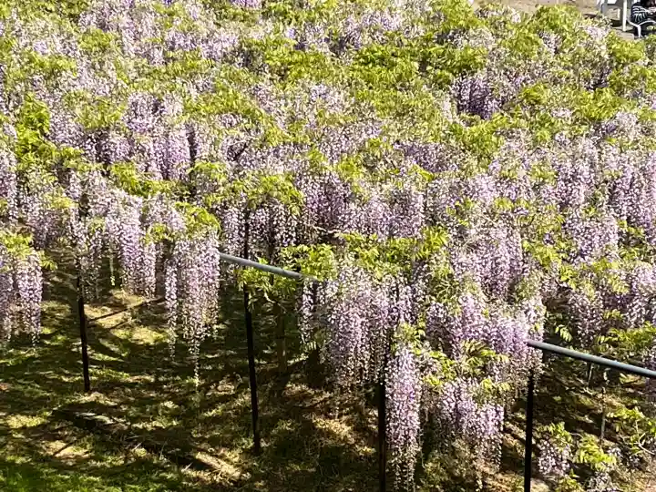 天台宗 五大山 白毫寺(兵庫県)