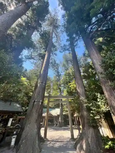 御杖神社の{uncategorized: "未分類", other: "その他", undefined: "問題あり", building: "その他建物", grave: "お墓", sacred_gate: "鳥居", guardian: "狛犬", statue: "像", buddha: "仏像", history: "歴史", nature: "自然", garden: "庭園", animal: "動物", pagoda: "塔", temizu: "手水舎", mountain_gate: "山門・神門", sanctuary: "本殿・本堂", subordinate: "末社・摂社", art: "芸術", scenery: "景色", jizo: "地蔵", ema: "絵馬", goshuin: "御朱印", omikuji: "おみくじ", items: "授与品その他", amulet: "お守り", goshuincho: "御朱印帳", eats: "食事", festival: "お祭り", votive_dance: "神楽", shichigosan: "七五三参", wedding: "結婚式", experience: "体験その他", initially: "初詣", around: "周辺", anti_infection: "感染症対策"}
