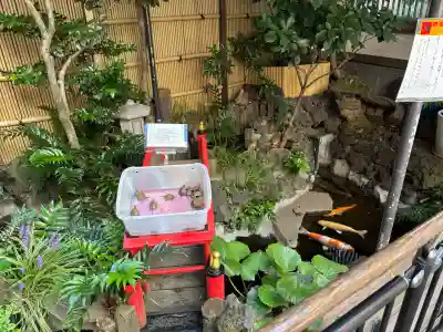 心城院(東京都)