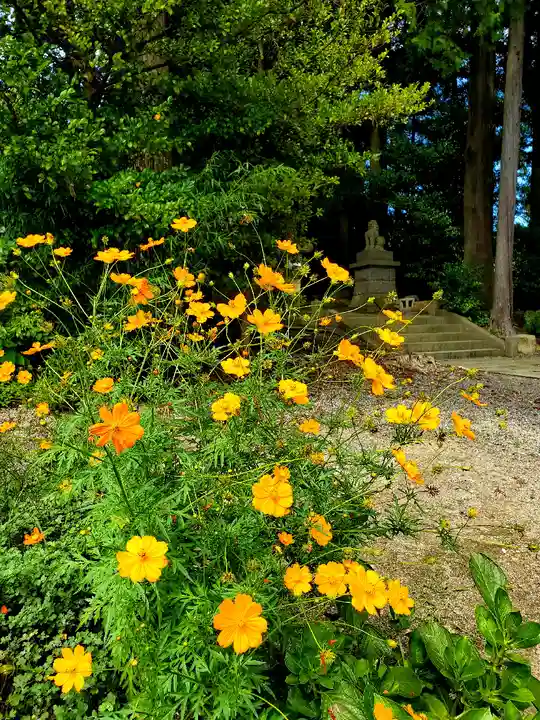 豊景神社の自然
