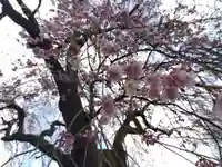 日朝寺(新潟県)