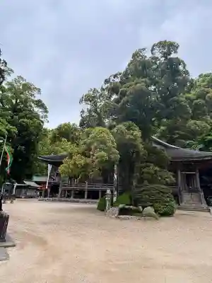 青岸渡寺の{uncategorized: "未分類", other: "その他", undefined: "問題あり", building: "その他建物", grave: "お墓", sacred_gate: "鳥居", guardian: "狛犬", statue: "像", buddha: "仏像", history: "歴史", nature: "自然", garden: "庭園", animal: "動物", pagoda: "塔", temizu: "手水舎", mountain_gate: "山門・神門", sanctuary: "本殿・本堂", subordinate: "末社・摂社", art: "芸術", scenery: "景色", jizo: "地蔵", ema: "絵馬", goshuin: "御朱印", omikuji: "おみくじ", items: "授与品その他", amulet: "お守り", goshuincho: "御朱印帳", eats: "食事", festival: "お祭り", votive_dance: "神楽", shichigosan: "七五三参", wedding: "結婚式", experience: "体験その他", initially: "初詣", around: "周辺", anti_infection: "感染症対策"}