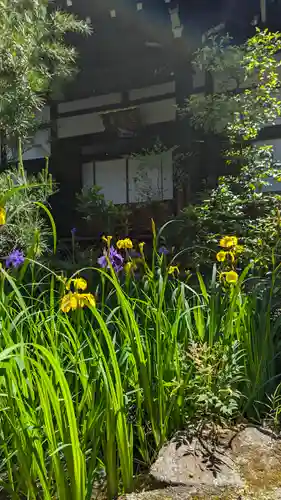 宝蔵寺(京都府)