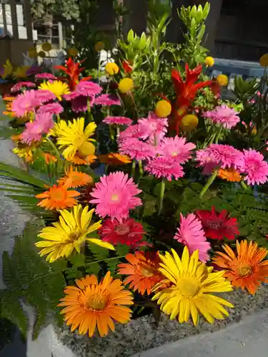 宮地嶽神社の手水舎