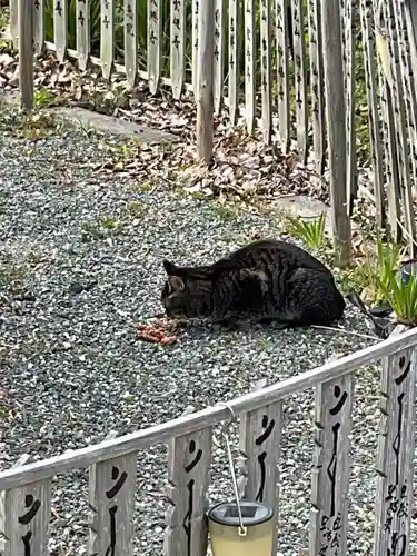 井際山 如意輪寺(愛知県)