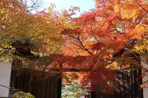 二尊院の山門