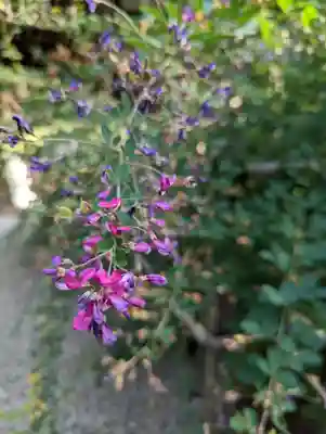 梨木神社(京都府)