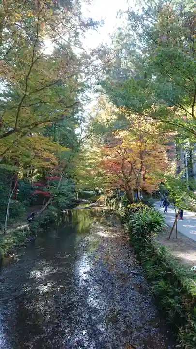 小國神社の自然