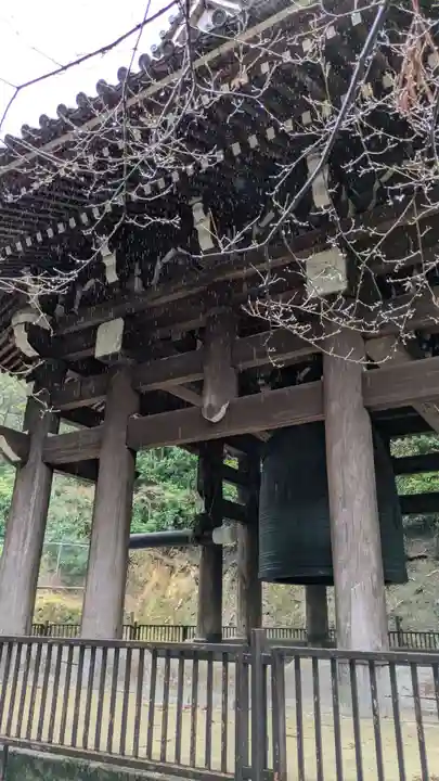 知恩院(京都府)