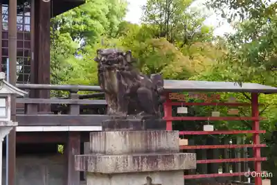 京都乃木神社の狛犬