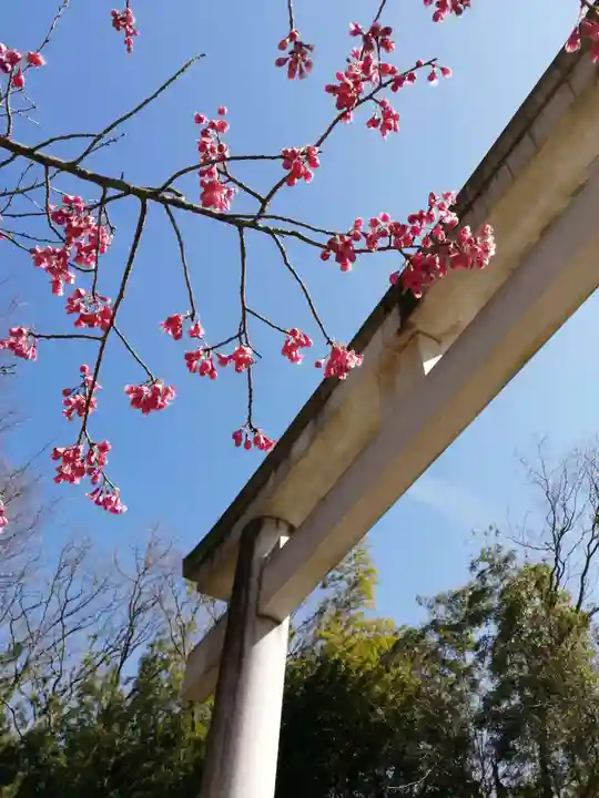常陸国出雲大社の自然