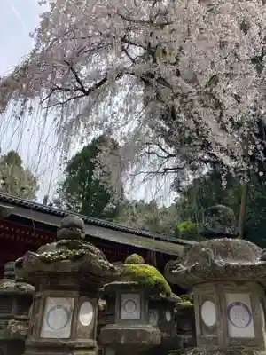 春日大社(奈良県)