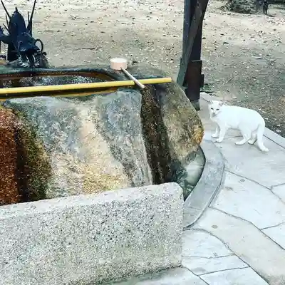 甲子園八幡神社(兵庫県)
