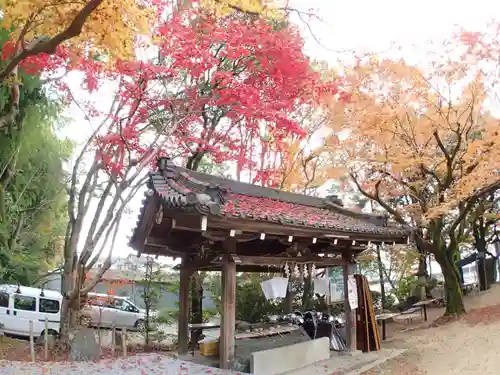 等彌神社の手水舎