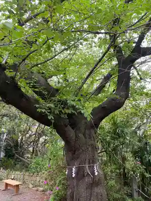 牛天神北野神社(東京都)