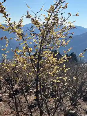 宝登山神社奥宮(埼玉県)