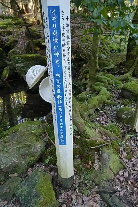 若狭彦神社(上社)(福井県)