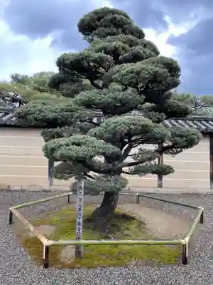 東寺（教王護国寺）(京都府)