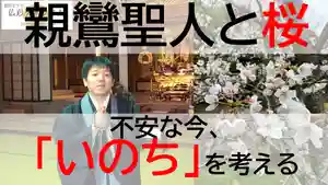 浄土真宗本願寺派久喜山高善寺(島根県)(2020年04月07日(火) 11時38分36秒投稿)