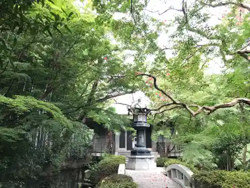大正寺の庭園