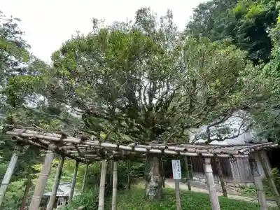 宝厳寺(滋賀県)
