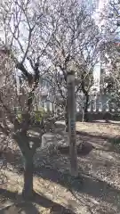 小村井 香取神社の庭園