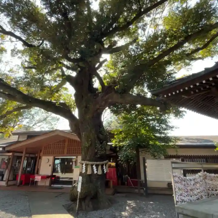 座間神社の{uncategorized: "未分類", other: "その他", undefined: "問題あり", building: "その他建物", grave: "お墓", sacred_gate: "鳥居", guardian: "狛犬", statue: "像", buddha: "仏像", history: "歴史", nature: "自然", garden: "庭園", animal: "動物", pagoda: "塔", temizu: "手水舎", mountain_gate: "山門・神門", sanctuary: "本殿・本堂", subordinate: "末社・摂社", art: "芸術", scenery: "景色", jizo: "地蔵", ema: "絵馬", goshuin: "御朱印", omikuji: "おみくじ", items: "授与品その他", amulet: "お守り", goshuincho: "御朱印帳", eats: "食事", festival: "お祭り", votive_dance: "神楽", shichigosan: "七五三参", wedding: "結婚式", experience: "体験その他", initially: "初詣", around: "周辺", anti_infection: "感染症対策"}