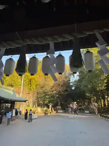 大宮八幡宮の{uncategorized: "未分類", other: "その他", undefined: "問題あり", building: "その他建物", grave: "お墓", sacred_gate: "鳥居", guardian: "狛犬", statue: "像", buddha: "仏像", history: "歴史", nature: "自然", garden: "庭園", animal: "動物", pagoda: "塔", temizu: "手水舎", mountain_gate: "山門・神門", sanctuary: "本殿・本堂", subordinate: "末社・摂社", art: "芸術", scenery: "景色", jizo: "地蔵", ema: "絵馬", goshuin: "御朱印", omikuji: "おみくじ", items: "授与品その他", amulet: "お守り", goshuincho: "御朱印帳", eats: "食事", festival: "お祭り", votive_dance: "神楽", shichigosan: "七五三参", wedding: "結婚式", experience: "体験その他", initially: "初詣", around: "周辺", anti_infection: "感染症対策"}