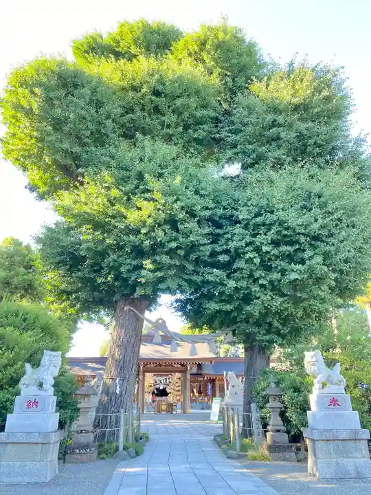 亀ケ池八幡宮の自然