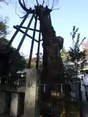 布多天神社の建物その他