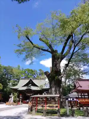 上野総社神社(群馬県)